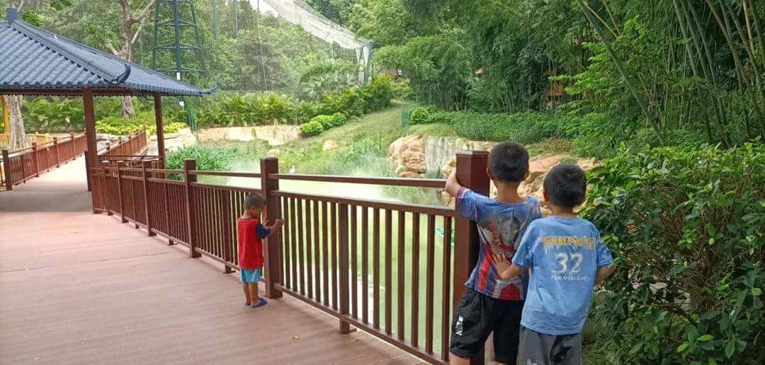 用800块过上理想生活、花50w“重启人生”，她们说这是今年花得最值的一笔钱！