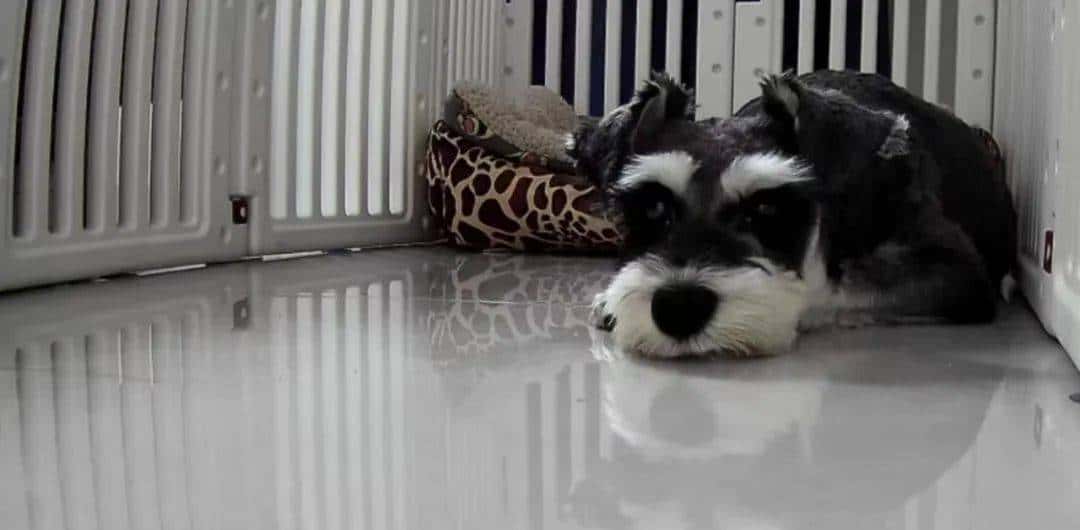 用800块过上理想生活、花50w“重启人生”，她们说这是今年花得最值的一笔钱！