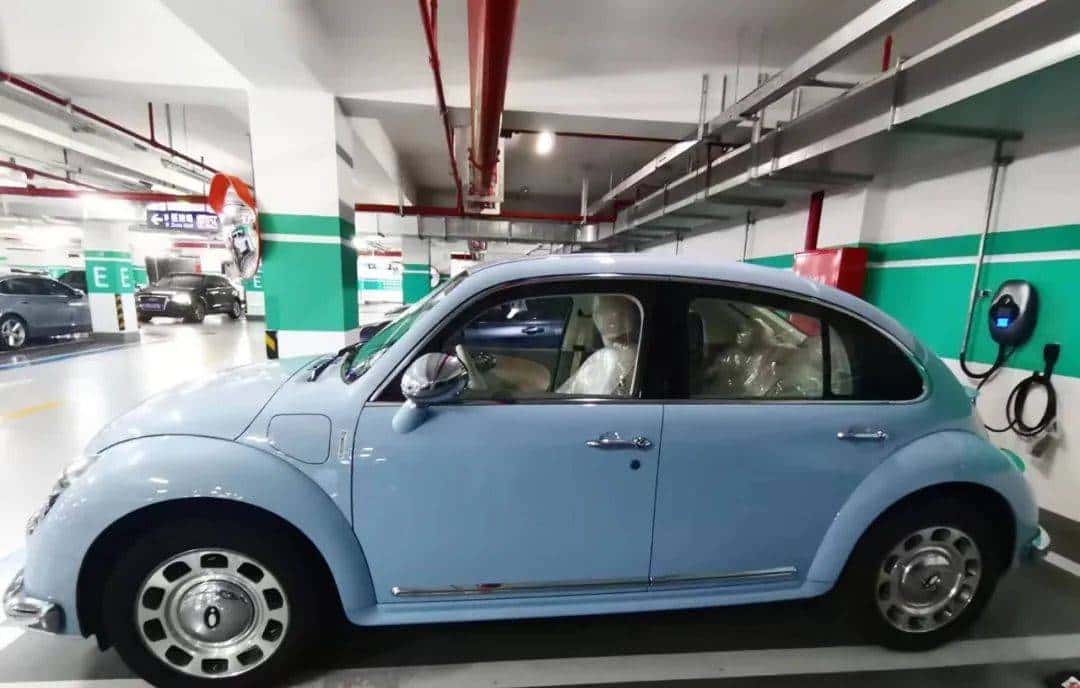 用800块过上理想生活、花50w“重启人生”，她们说这是今年花得最值的一笔钱！