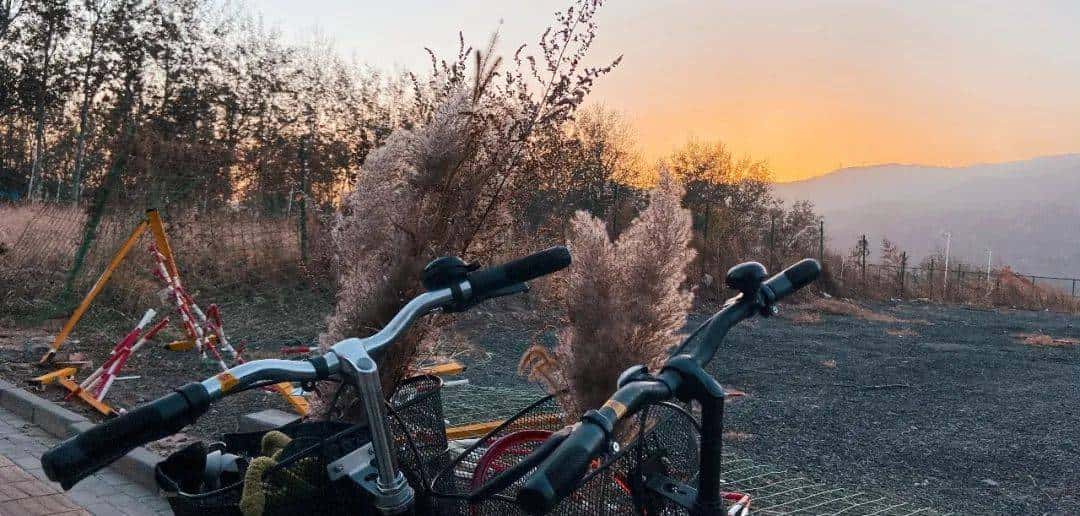 用800块过上理想生活、花50w“重启人生”，她们说这是今年花得最值的一笔钱！