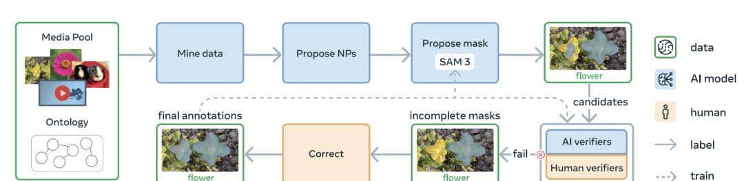 一文带你看懂「分割一切」SAM 系列模型的前世今生