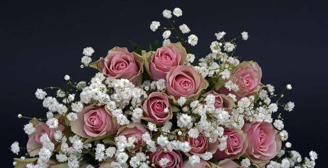 微信里最动人的告白,不是“我爱你”,而是她这样回复你