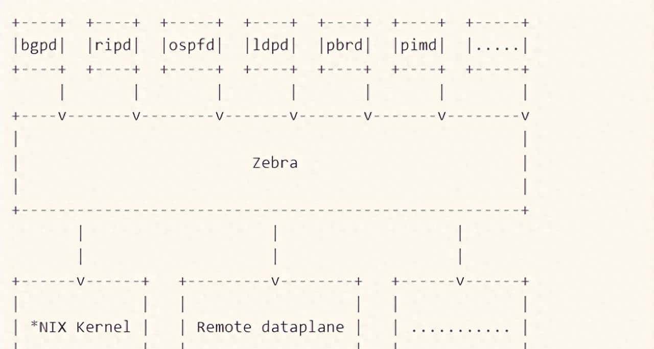 linux主机frrouting和华三CE6850建立BGP EVPN邻居并实现三层互通