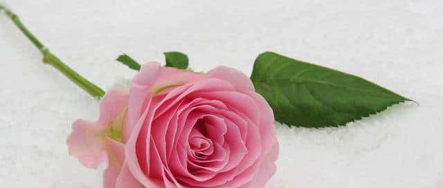 微信里最动人的告白,不是“我爱你”,而是她这样回复你