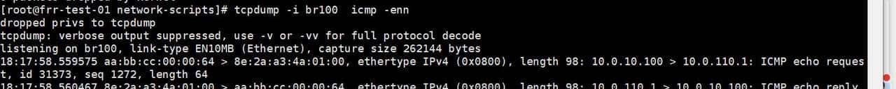 linux主机frrouting和华三CE6850建立BGP EVPN邻居并实现三层互通