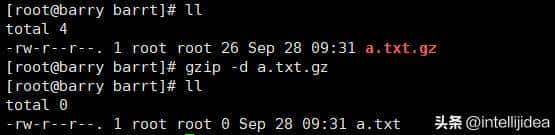 linux中打包、压缩、解压命令