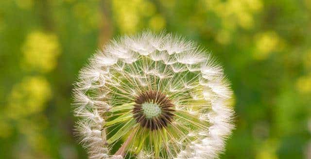 女人对你心动,会给你以下暗示