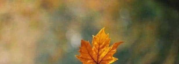 告知你一个残忍的人际关系：你和任何人的关系，并非对别人有多好