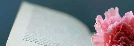 告知你一个残忍的人际关系：你和任何人的关系，并非对别人有多好