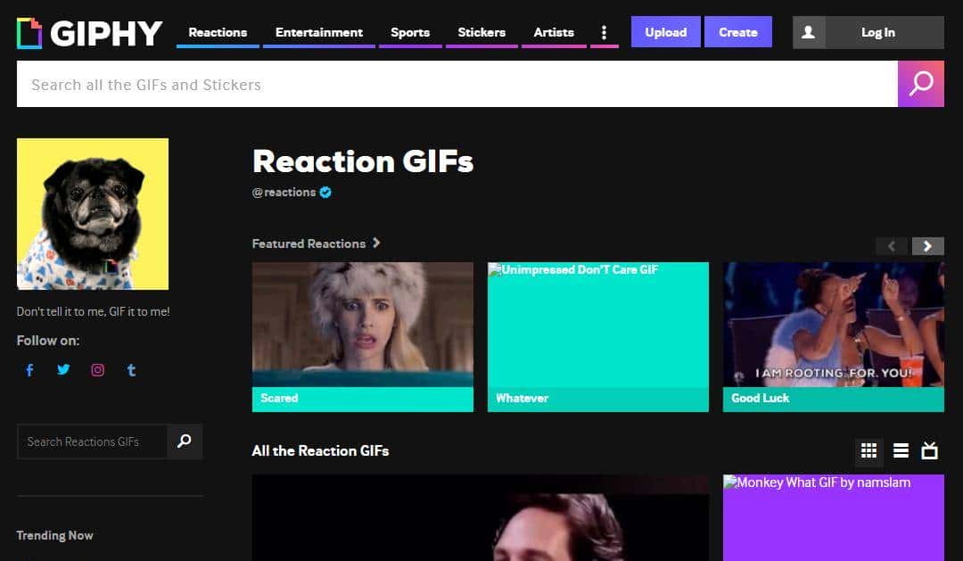 实用贴！（亲测好用）20+免费图库图标素材工具类网站合集