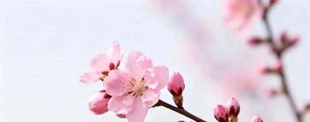 女人对你动情了，会有哪些细微动作？哪怕只触碰一个。她已难自控