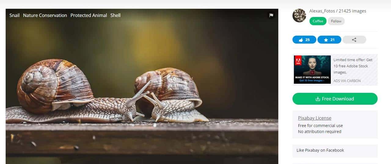 实用贴！（亲测好用）20+免费图库图标素材工具类网站合集