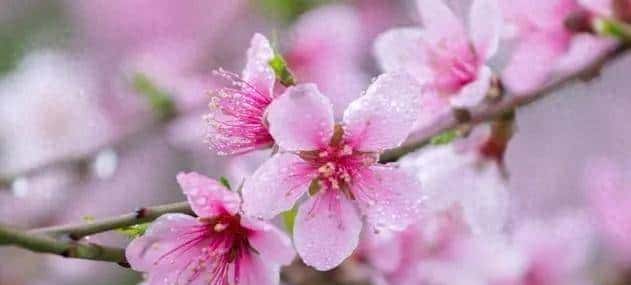 女人对你动情了，会有哪些细微动作？哪怕只触碰一个。她已难自控