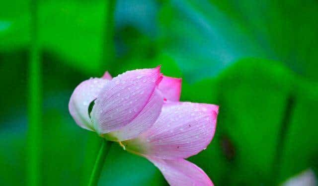 女人对你心动,会给你以下暗示