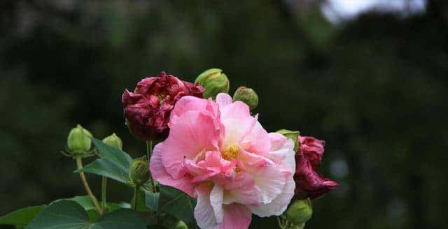 女人对你心动,会给你以下暗示