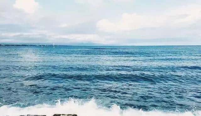 《人生海海》--是人们亲手挖的苦海，活一天挖一天，挖到人生的尽头……