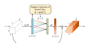 【YOLO11-MM 多模态目标检测】CA/ECA/GAM/CAA注意力增强模态特征
