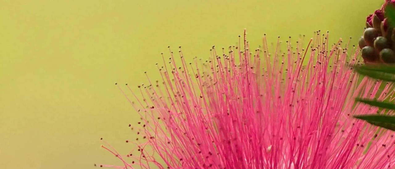 12月11日星期四，未羊，可能会有有事发生