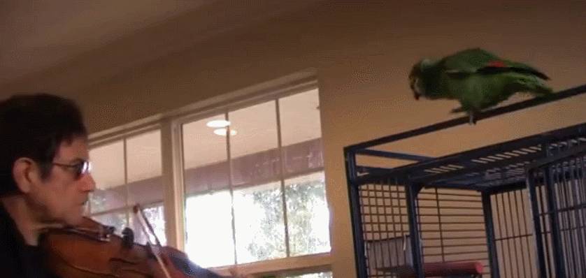 听了30遍《说好不哭》后，我们找到了周杰伦歌曲洗脑的缘由