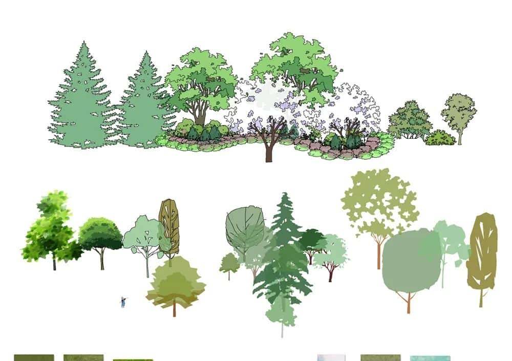 SketchUp杀疯了！10分钟搞定城市景观图纸