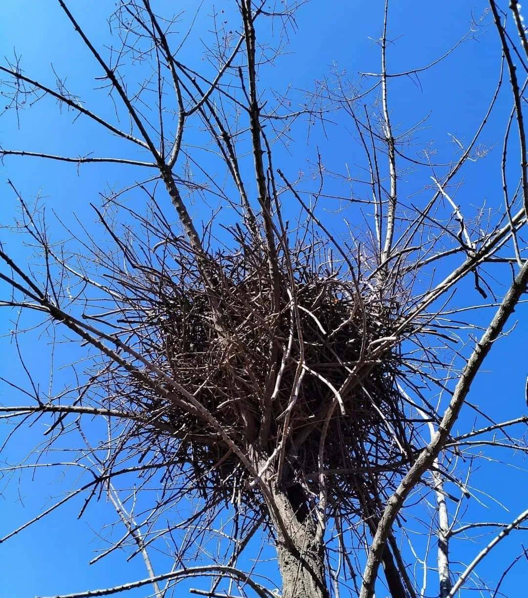 【陕西】吴清西:说解《说文解字》中的渭南方言词语(七)