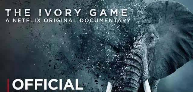 拯救大象，中国在行动