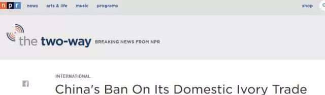 拯救大象，中国在行动