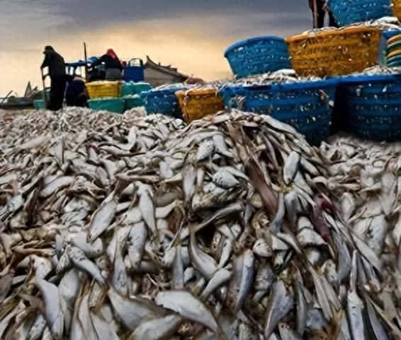 超声波风速风向传感器以及温湿度传感器在远洋捕捞中的应用