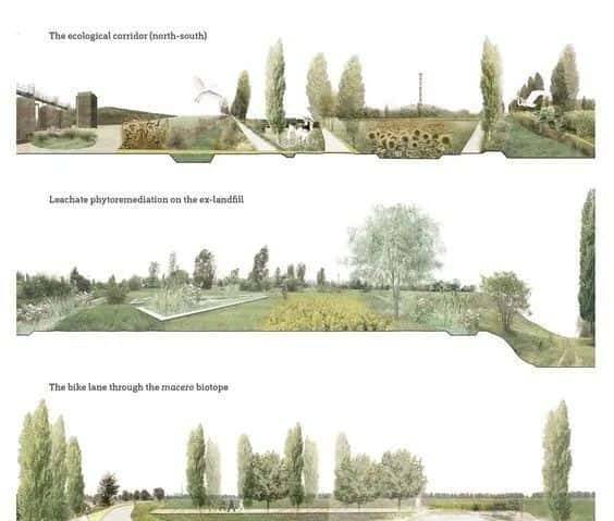 不去用模型树，你根本不知道它有多“香”？