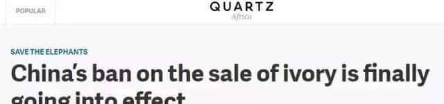 拯救大象，中国在行动