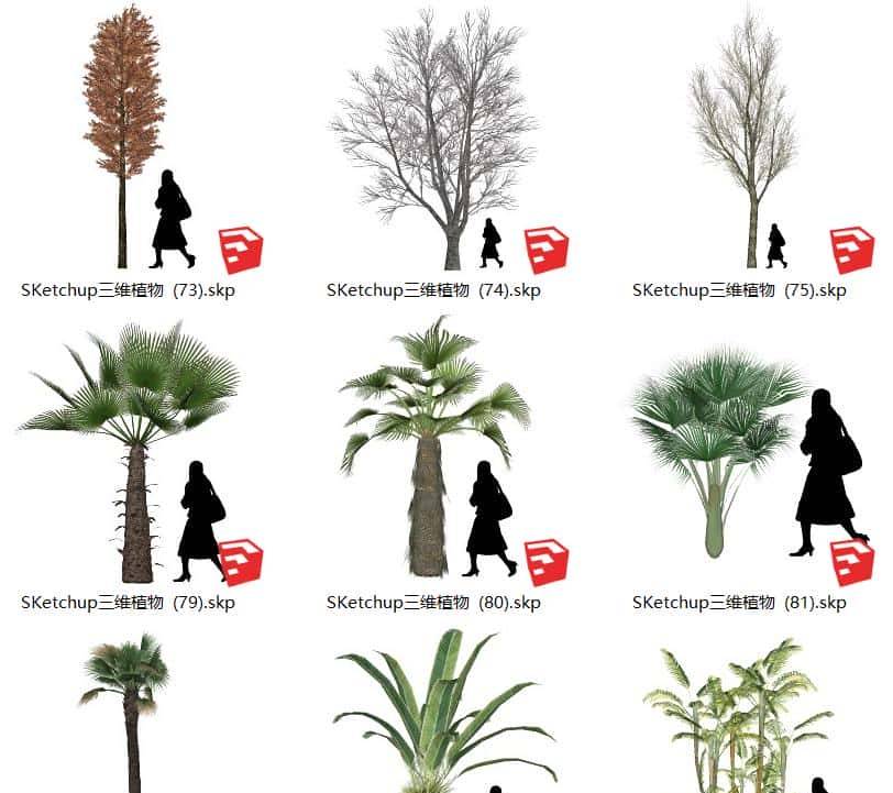 不去用模型树，你根本不知道它有多“香”？