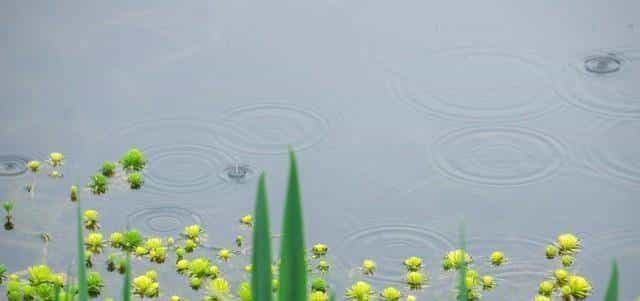 拉黑删除你的人，对你的感情最深，也放不下！