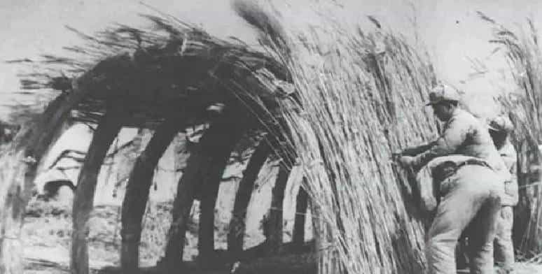 开拓北大荒时，军垦遭到失去家园的狼群聚焦报复，其场面摄人心魂