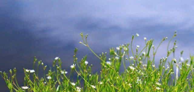 拉黑删除你的人，对你的感情最深，也放不下！