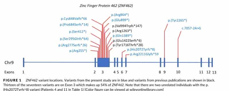 2025-04-21 windows conda+R环境+conda下的R使用